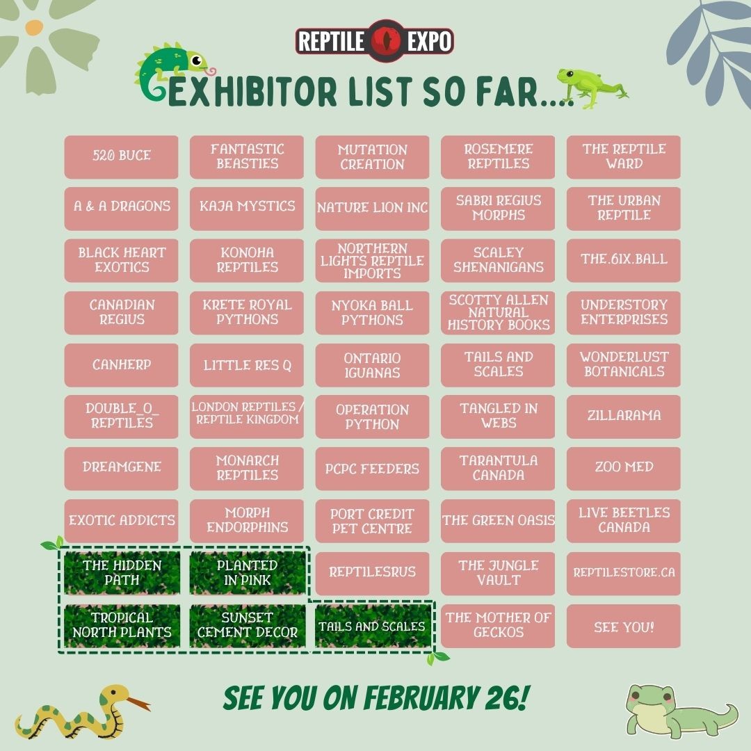 😍 Let's continue our excitement to the next Expo featuring THE PLANT EXPO🌿🪴! 

Check out this stacked Exhibitor List for Feb 26 Reptile Expo and plan your visit!

🗓 Sunday, February 26
📍 International Centre Hall 1
⏰ 10 am to 4 pm

🎫 BUY TICKETS ON👉
👉Check the link in the bio！

#reptileexpo #weloverepitleexpo #ilovereptileexpo #letsgotothereptileexpo  #toronto #ontarioexpo #ontarioreptileexpo #reptilelover #reptilelovers #reptile #snakes #reptiles #geckos #beardeddragons #lizard #snake #frog #rareplants #houseplants #tropicalplants #indoorplants #indoorgarden #plantcollection #plantcollector #torontoplantshop #plantmarket #plantexpo #aquascaping #landscaping #garden