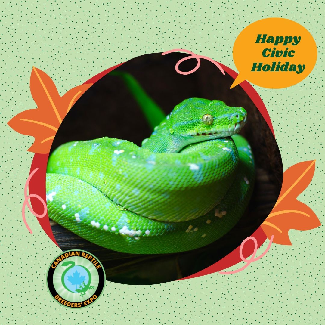 🇨🇦 Happy Civic Holiday 🇨🇦

Canadian Reptile Breeders Expo wishes you a safe and wonderful Civic Holiday!

#reptileshow #reptileexpo #reptileinsta #reptilesofinstagram #reptilesofinsta #callyourreptiles #petshow #fallpetshow
#weloveexhibitions 
#pets #pet #petlover #petlovers  #dog #dogs
#petsofinstagram #petinsta #instapet #petlover #petlovers #petfriends #familyfun #weekendplan #happyweekend #longweekend #civicholiday