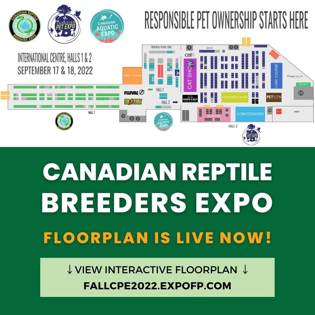 ❗️Attention❗️

The CANADIAN REPTILE
BREEDERS EXPO will be held in HALL 1 at International Centre! The interactive floorplan is live now 👉
https://fallcpe2022.expofp.com/

Find your favourite vendors' booth and make sure to check it out on the expo day!

🗓 Sat & Sun, Sep. 17-18
📍 International Centre

🎫 TICKETS ON SALE NOW 🎫
https://www.reptilebreedersexpo.ca/

🎫 TICKETS ON SALE NOW 🎫
👉Check the link in the bio！

#reptileshow #reptileexpo #reptileinsta #reptilesofinstagram #reptilesofinsta #callyourreptiles #reptileshowoff #showoffyourreptile #reptilesfriends #torontoreptileshow #plants #terrarium #terrascaping #plant #tropicalplants