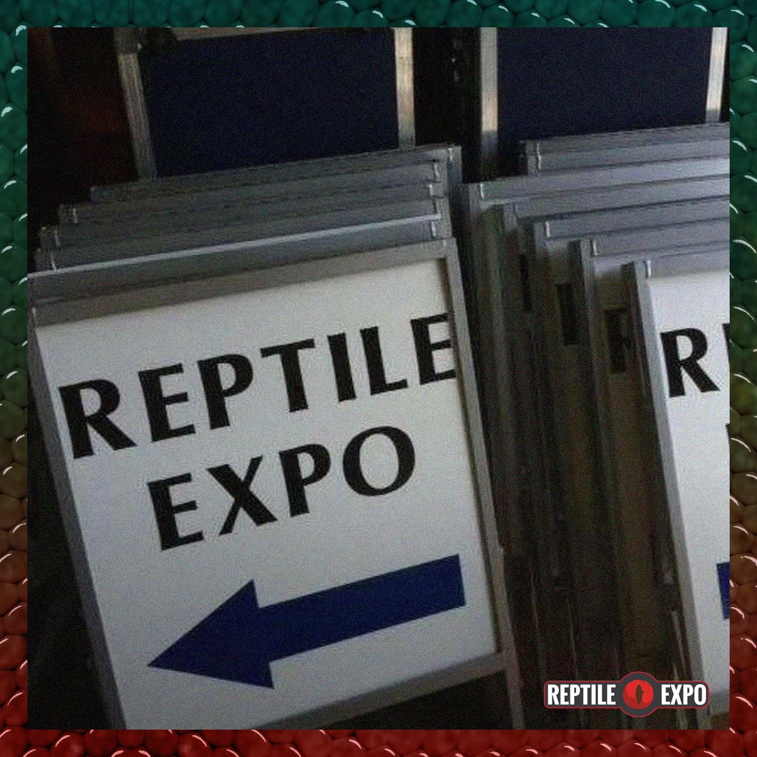 ⬅️ Reptile Expo is this way 

Do you remember this sign?? 
.
.
.
#reptileexpo #welovereptiles #reptileinsta #reptilesarepets #re #doitforthereptiles #signsofinstagram #reptiles #reptile #reptilelover #reptilekeeper