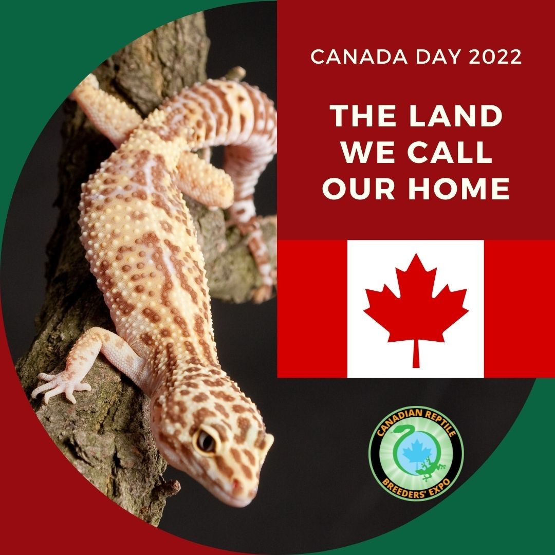 🇨🇦 Happy Canada Day 🇨🇦

Canadian Reptile Breeders Expo wishes you a safe and wonderful Canada Day long weekend!

#reptileshow #reptileexpo #reptileinsta #reptilesofinstagram #reptilesofinsta #callyourreptiles #reptileshowoff #showoffyourreptile #reptilesfriends #torontoreptileshow #petlover #petlovers #petfriends #weekendplan #happyweekend #longweekend #canadadaylongweekend #canadaday