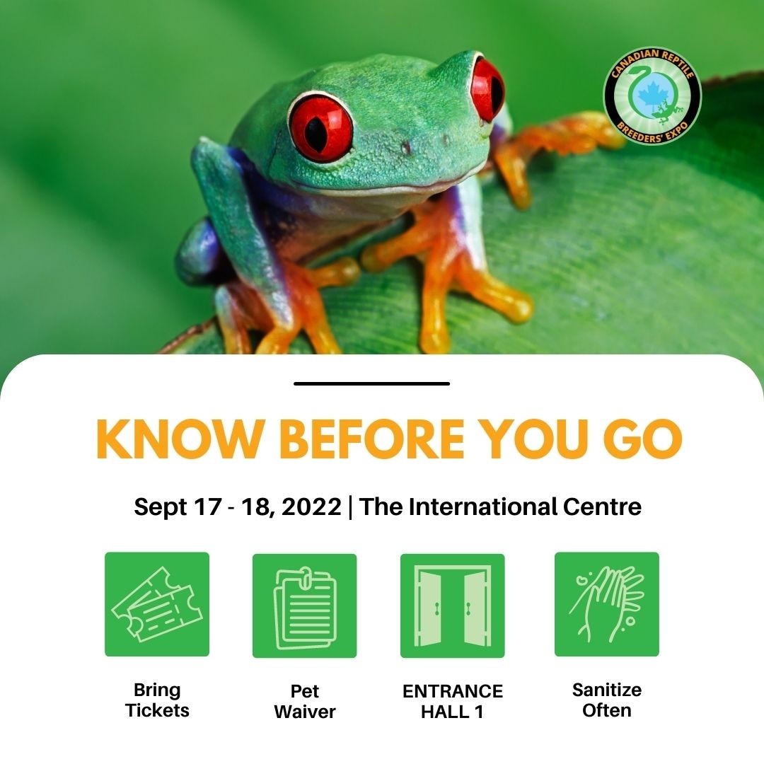 Only 2 days left! Your Reptiles Breeders Expo "know before you go" checklist 😎

The Canadian Reptile Breeders Expo is coming up fast and will be another fantastic Expo!

Here are a few things to keep in mind:
✅ Have your tickets ready to scan
✅ Have your pet waiver completed if you are bringing your family pet
✅ Entrance Hall 1
❎ Masks and proof of Vaccination not required 

Will we see you there? Tell us in the comments below 👇

🗓 Sat & Sun, Sep. 17-18
📍 Hall 1, International Centre

🎫 TICKETS ON SALE NOW 🎫
👉Check the link in the bio！

#reptileexpo #weloverepitleexpo #ilovereptileexpo #letsgotothereptileexpo #snakes #reptiles #geckos #beardeddragons #toronto #ontario #ontarioexpo #ontarioreptileexpo
