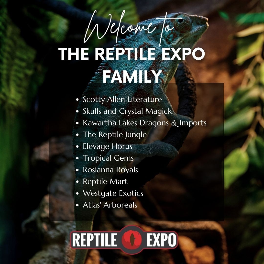 😊 We are more than happy to see the Reptile Expo Exhibitor Family keep growing!  There is always something new at the Toronto Reptile Expo, no two shows are the same! 

New supplies, new speciality pets, and new exhibitors along with the same quality service and expert advice you have come to expect. 

🤗 Let's give a warm welcome to our newest exhibitors at May 29 Expo! Make sure to check out their booths! 😜

✅ Scotty Allen Literature
✅ Skulls and Crystal Magick
✅ Kawartha Lakes Dragons & Imports 
✅ The Reptile Jungle 
✅ Elevage Horus 
✅ Tropical Gems 
✅ Rosianna Royals
✅ Reptile Mart 
✅ Westgate Exotics 
✅ Atlas' Arboreals

If you are thinking of taking the plunge to be an exhibitor, please speak to one of our friendly staff.  We specialize in assisting new exhibitors to realize their goals.

#reptileexpo #expoforreptiles #reptilepet #reptilefriend #toronto #torontoexpo #welovereptiles #reptilesrcool #reptilesarecool #reptilesarefriends