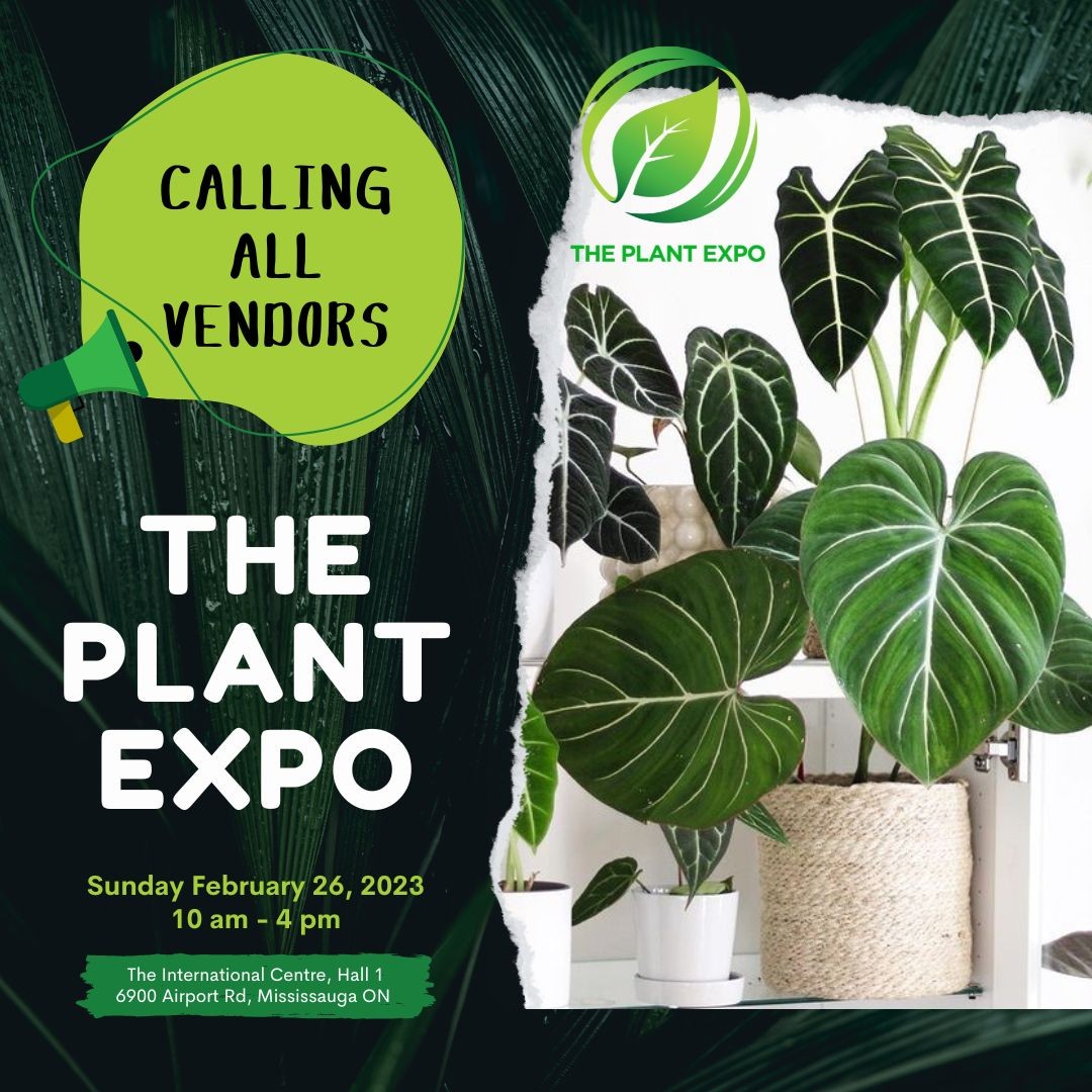 📢 CALLING ALL PLANT VENDORS! 📢

🎉 Booking is LIVE for the February 26th Plant Expo! 🥳

🌿🪴Do you specialize in all things plant, and want to share your craft with others? Looking for a way to grow your clientele? Vendors that focus on plants are invited to become a part of our very FIRST Plant Expo! 🪴🌿

With limited space available, we encourage you to act fast to secure a booth! 🔐

Want more info? Send us a message! ☝️

#aroids #rareplants #houseplants #tropicalplants #monstera #philodendron #microgreens #hydroponics #indoorplants #indoorgarden #plantcollection #plantcollector #alocasia #terrarium #vivarium #aquaponics #torontoplantshop #plantmarket #plantexpo #aquascaping #landscaping #garden